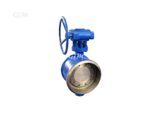 Double-Directional Butt-Welded Butterfly Valve