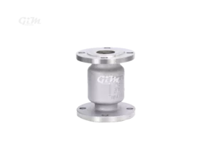 stainless-steel-vertical-check-valve